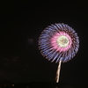 逗子海岸花火大会 2016 6/3 DSC08989