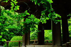 報国寺 拝観 2016 8/20 DSC07867