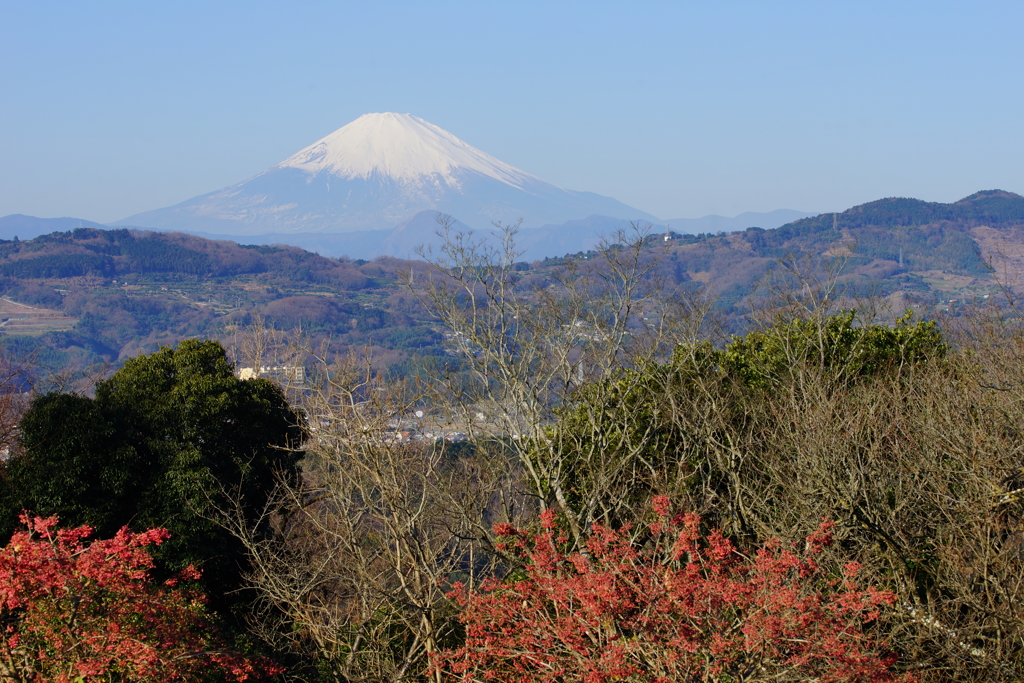 吾妻山からの富士山