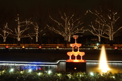 国営昭和記念公園 Winter Vista Illumination 2015 