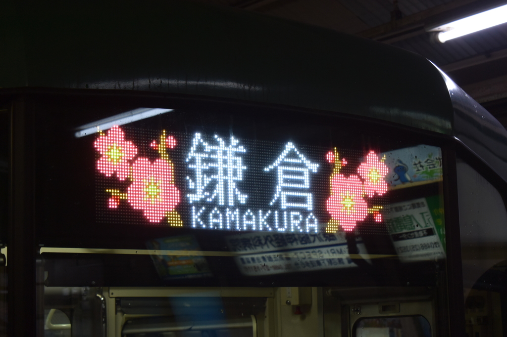 江ノ電 紅梅ヴァージョン DSC_2230