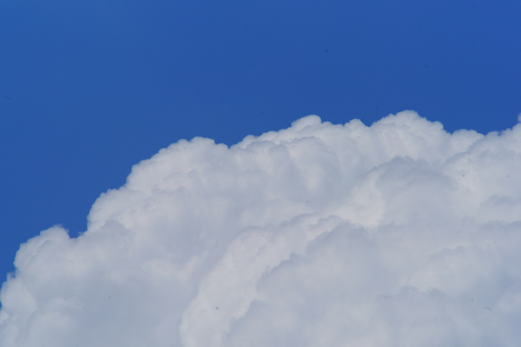 夏空 ぶら散歩 8/16 DSC05657
