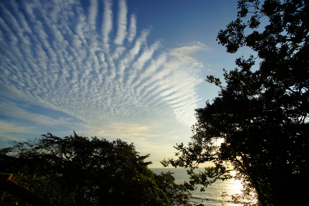 天駆ける龍の雲