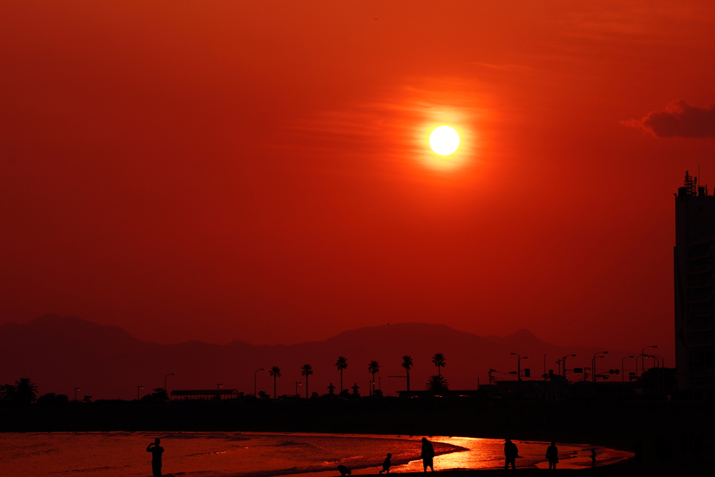 春霞の夕陽 ①