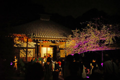 かまくら 長谷の灯かり ～光則寺～