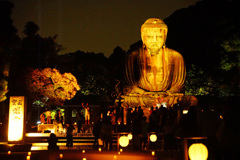 かまくら 長谷の灯かり ～鎌倉大仏殿高徳院～