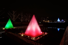 国営昭和記念公園 Winter Vista Illumination 2015 