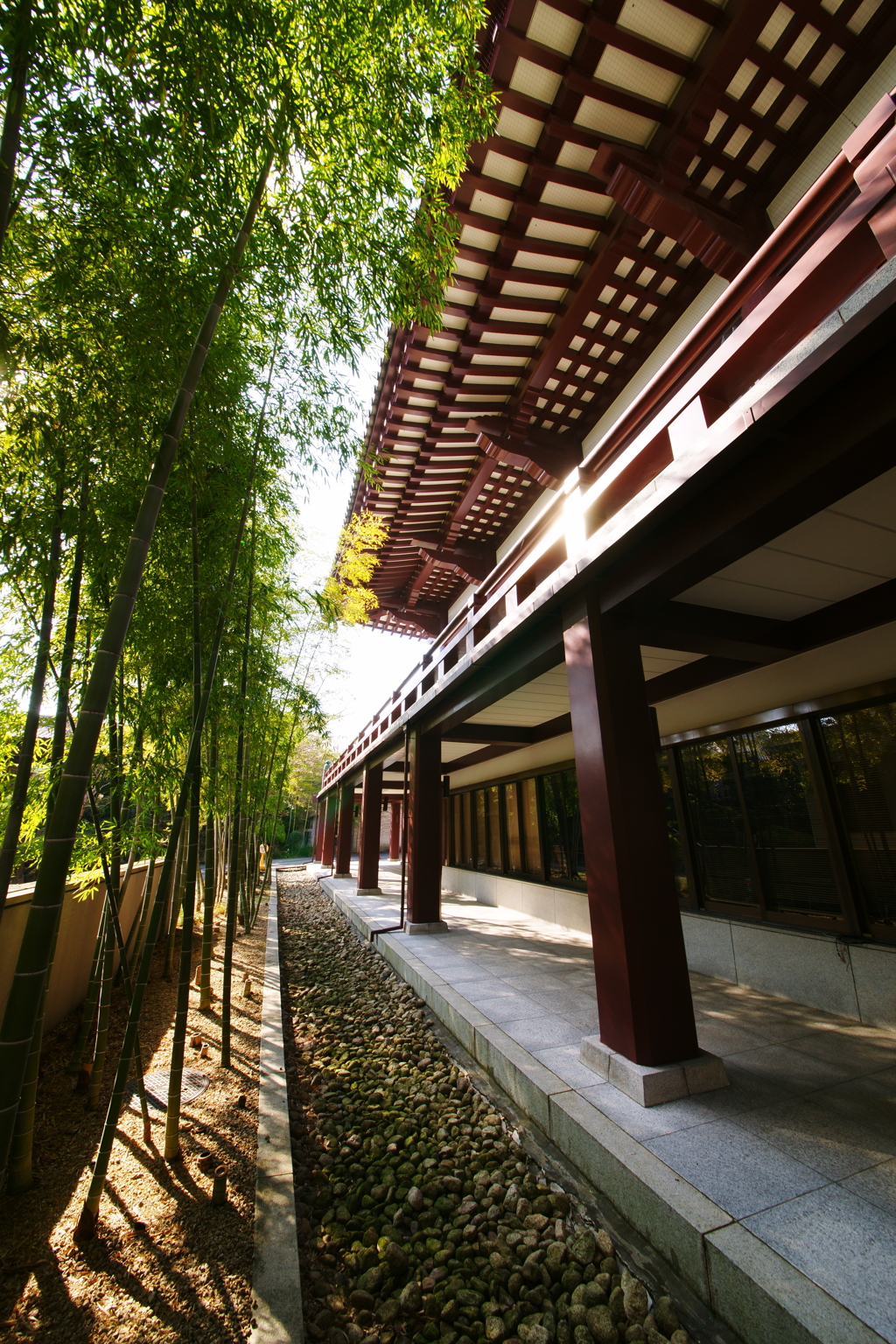 増上寺 2016 3/27 DSC04351