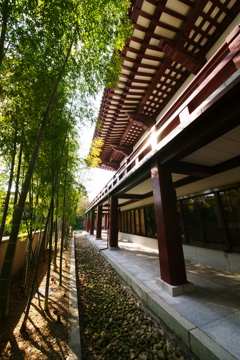 増上寺 2016 3/27 DSC04351