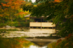 小さい秋 ぶら散歩 昭和記念公園 2015 10/10 DSC08292