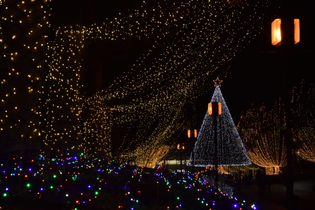 多摩センター イルミネーション 2015 12/14 DSC_2222