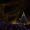 多摩センター イルミネーション 2015 12/14 DSC_2222