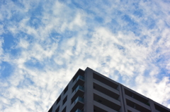 今日の雲 9/11 DSC_1953