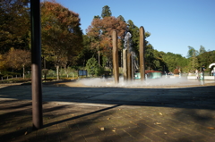 ぶら散歩 神奈川県立あいかわ公園 2015 11/3 DSC01137