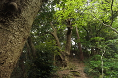 ちょっと鎌倉 2016 4/27 DSC_0352