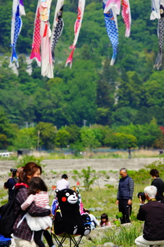相模川 鯉のぼり 2016 5/1 DSC00020