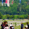 相模川 鯉のぼり 2016 5/1 DSC00020