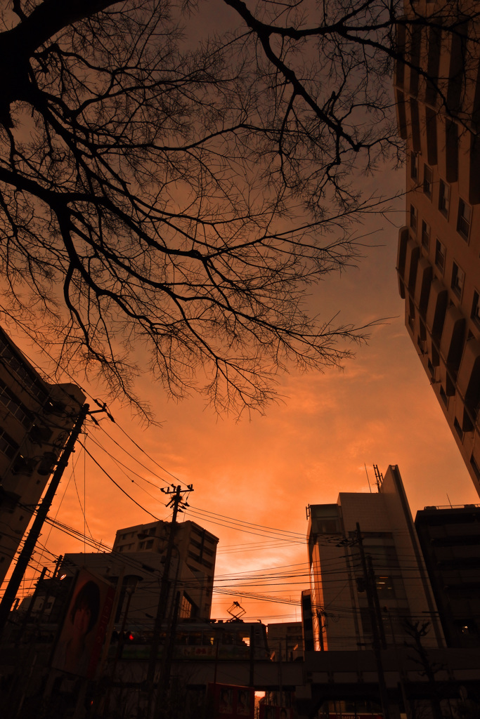 春の夕暮れを行く江ノ電 ③