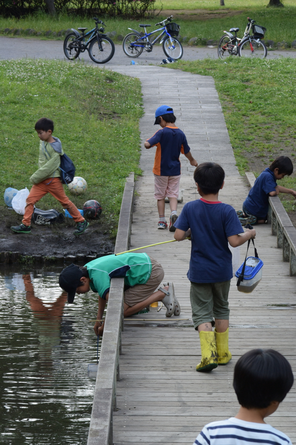 ちょっぴり新林公園 2016 6/1 DSC_2735