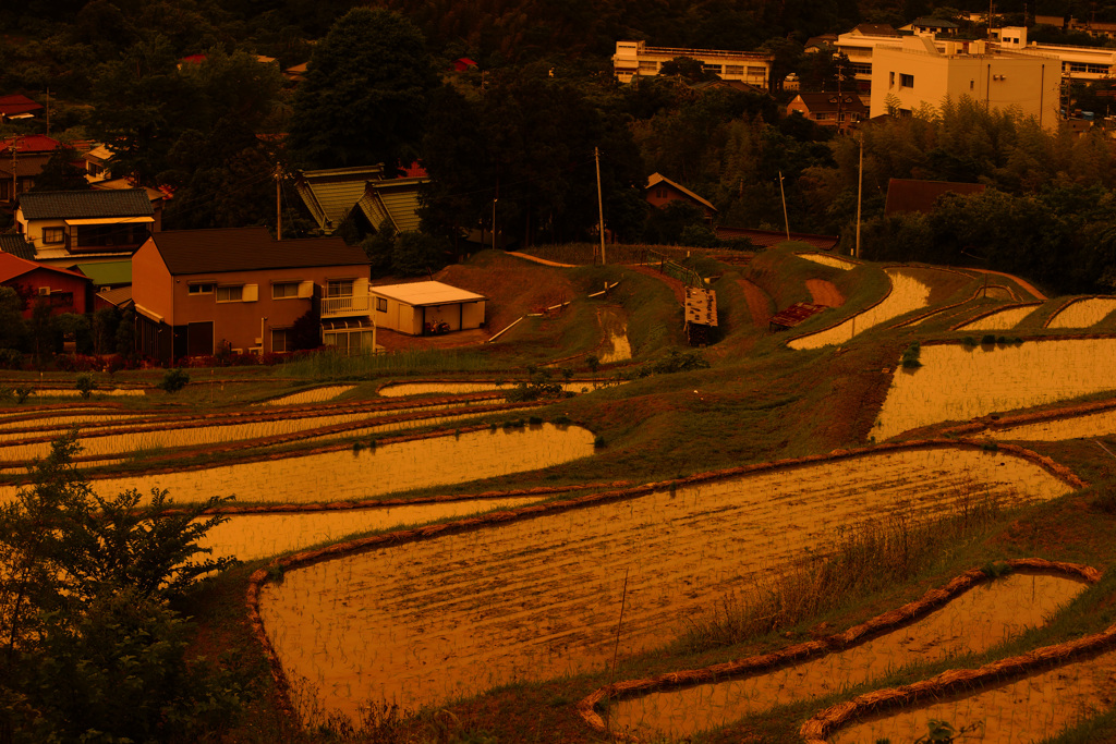 湘南の棚田で観た夕景 ⑤