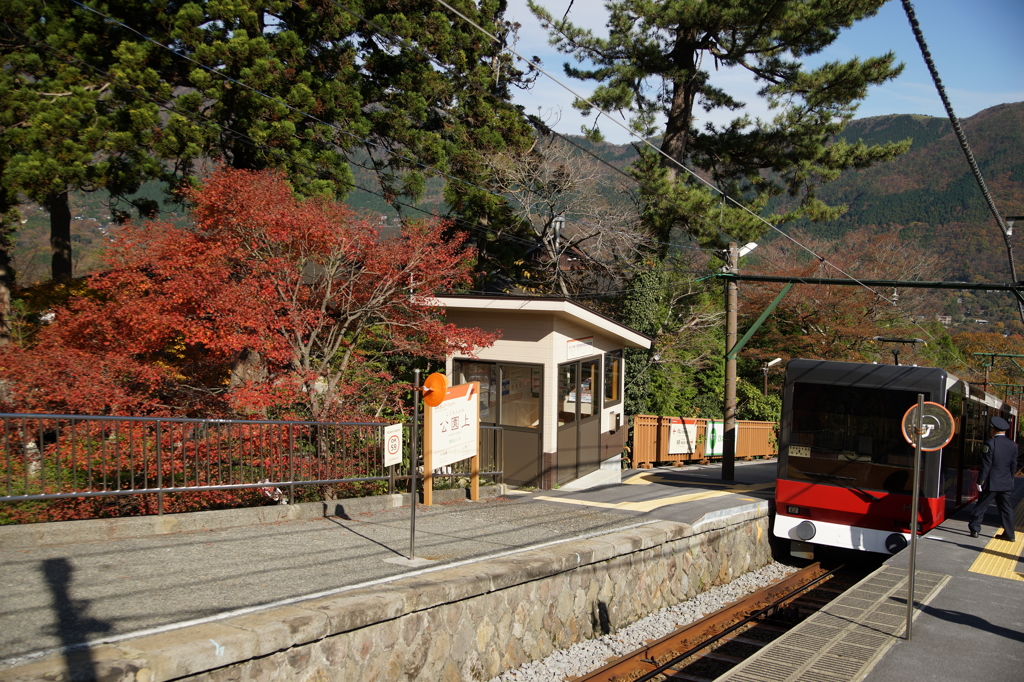 箱根美術館 ぶら散歩 2015 11/21 DSC02056