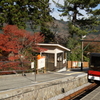 箱根美術館 ぶら散歩 2015 11/21 DSC02056