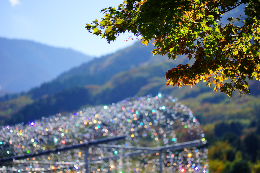 煌く箱根の光の中で～箱根ガラスの森美術館～