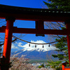 みんな富士山が大好き…with 新倉富士浅間神社鳥居