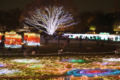 国営昭和記念公園 Winter Vista Illumination 2015 