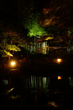 幻想的な光景 水鏡 ～大磯城山公園～