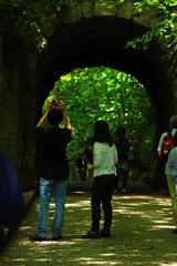 トンネルの向こう側には新緑の森