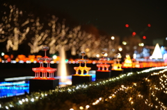 国営昭和記念公園 Winter Vista Illumination 2015 