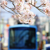 お花見ハッピートレイン ⑧