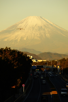 朝富士 2015 12/29 DSC03214