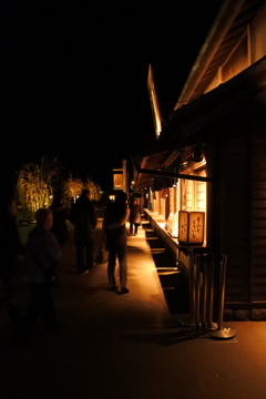 月夜の鬼平江戸処 羽生PA 2015 12/26 DSC_0107