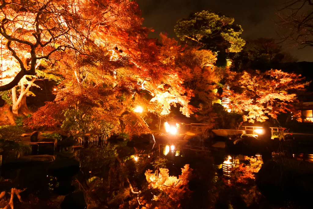 紅葉ライトアップ～長谷寺～④