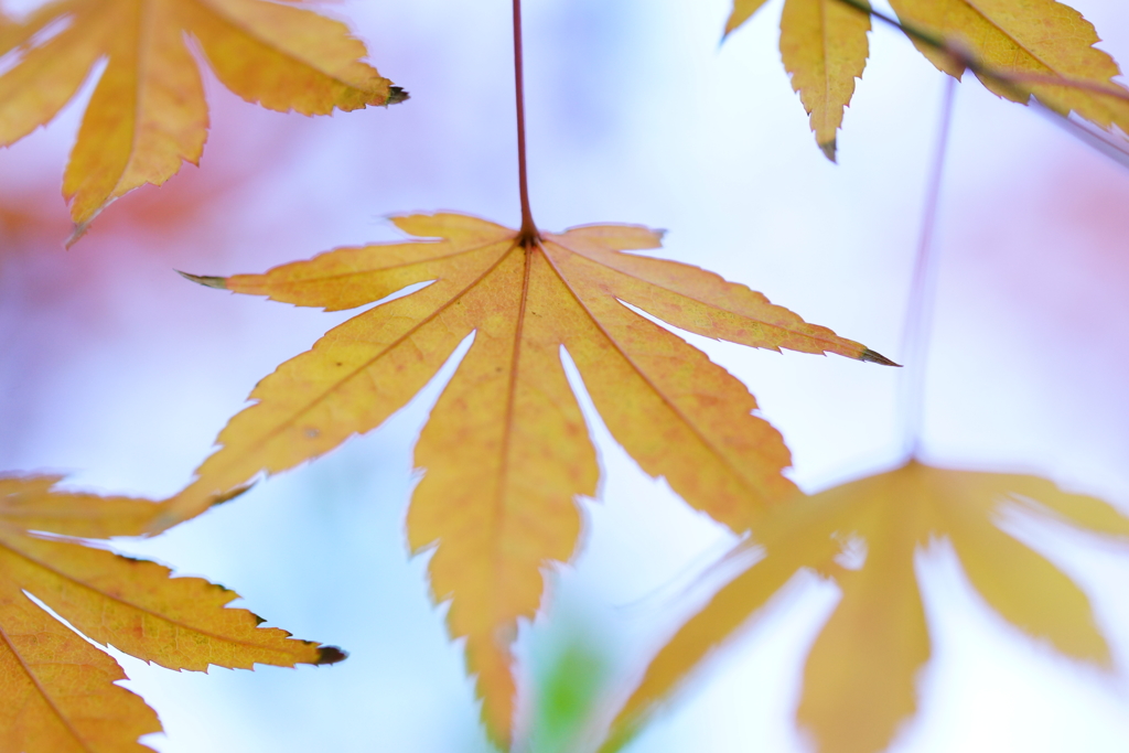 今年もあと僅か...②