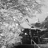 龍口寺の雪景色 ④