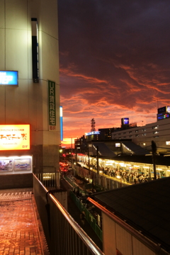 台風一過の夕焼け DSC_0662