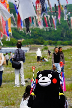 相模川 鯉のぼり 2016 5/1 DSC09989