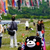 相模川 鯉のぼり 2016 5/1 DSC09989