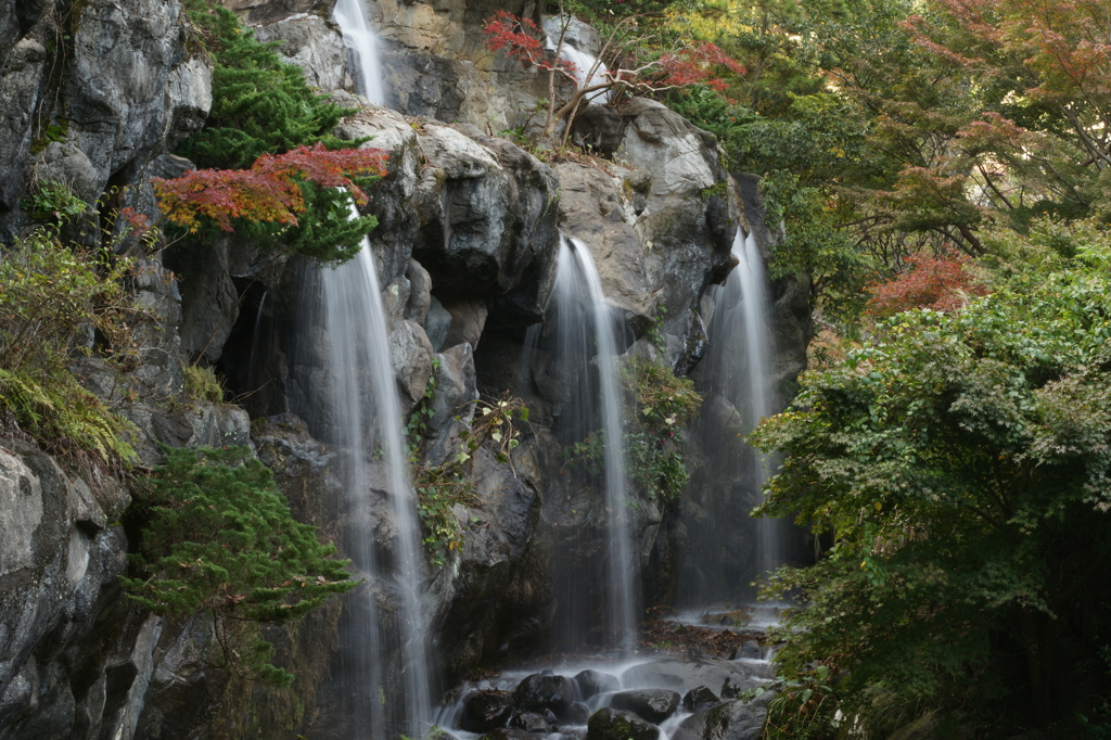 熱海梅園もみじまつり ぶら散歩 2015 11/21 DSC01095