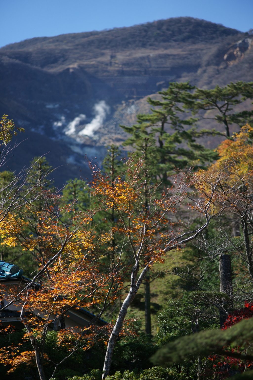 箱根美術館 ぶら散歩 2015 11/21 DSC00896