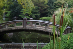 庭園の秋模様