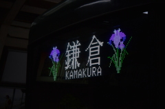 江ノ電 菖蒲バージョン 2016 4/26 DSC_2557