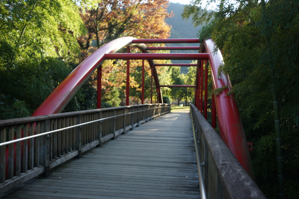 ぶら散歩 神奈川県立あいかわ公園 2015 11/3 DSC01142