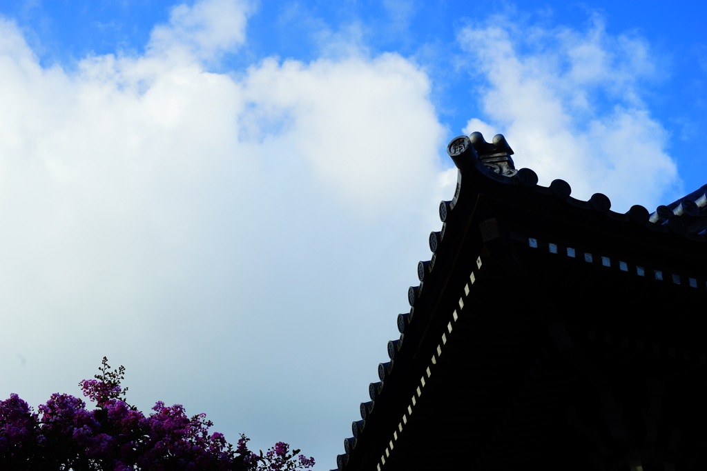 夏の終わりに～本覚寺～　DSC08728