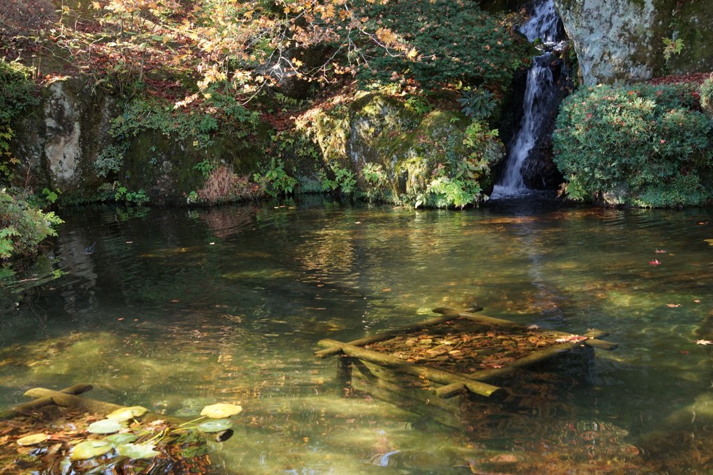 箱根美術館 ぶら散歩 2015 11/21 DSC01765