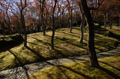 箱根美術館 ぶら散歩 2015 11/21 DSC01685