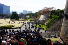 皇居東御苑 天守台にて 2016 3/27 DSC07049